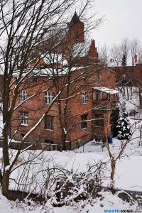 dsc_0114nowezima3016.jpg