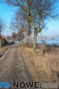 album10_Najnowsze_103.jpg